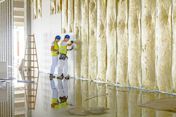 Best Insulation Replacement Services  in Colfax, CA